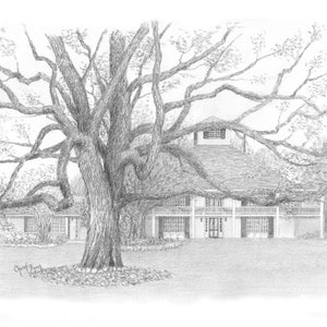 The Big Oak - Augusta National