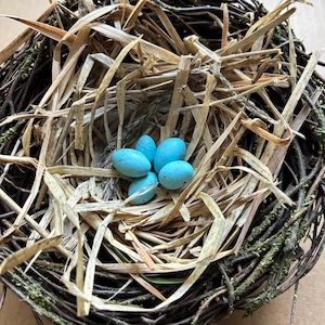 May include: A bird nest constructed from dark brown twigs and dried light tan grass, containing five small, smooth, bright turquoise blue eggs with tiny dark speckles clustered together in the center of the woven structure.