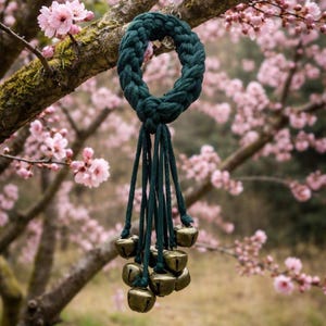 May include: A dark teal macrame plant hanger with a braided ring and dangling cords, each ending with a small, aged brass bell. The bells are clustered together. The background features a blurred view of a tree with pink blossoms.
