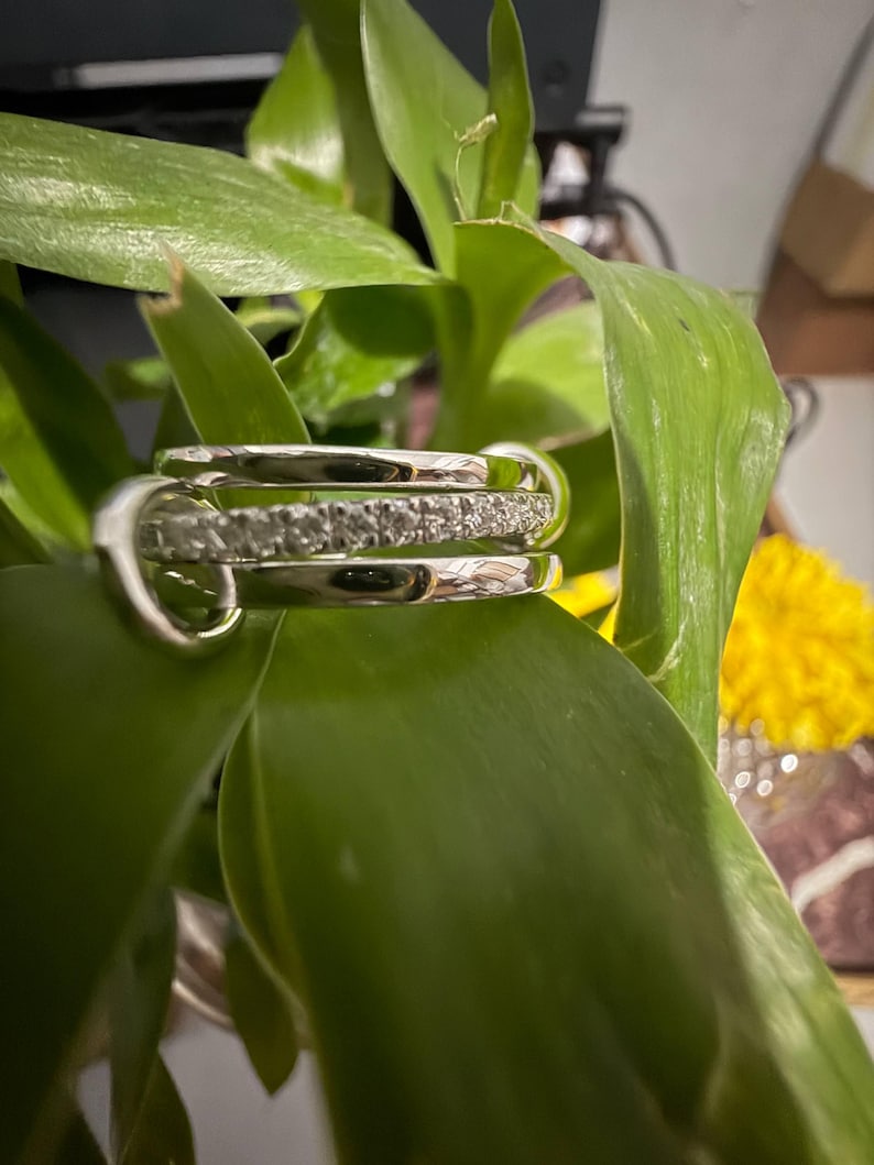 Pu&ograve; includere: Un anello color argento composto da tre fasce distinte. La fascia centrale &egrave; incastonata con una fila di piccole pietre chiare e scintillanti, mentre le due fasce esterne sono lisce, lucide e semplici, creando un aspetto a strati.