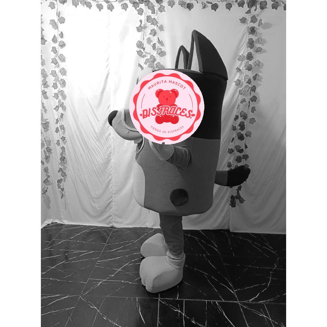 Custom Mascot Costume, Cosplay Mascot, Please Read the Description, for ...