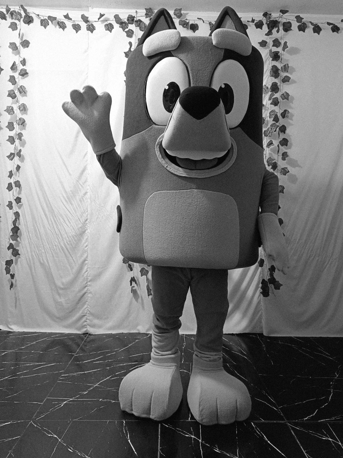 Custom Mascot Costume, Cosplay Mascot, Please Read the Description, for ...
