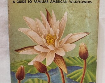 Vintage 1950 Flowers: A Golden Nature Guide - Hardcover with Rare Original Dust Jacket - First Edition State