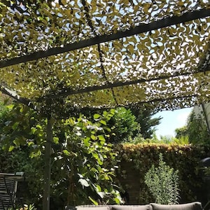 Filet Ombrage Vert Renforcé | Brise Vue Extérieur Végétal Jardin Terrasse Pergola, Voile Solaire Vert Naturel Anti-UV, Protection Durable