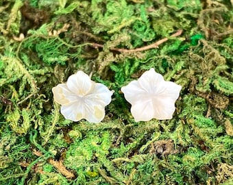 Small White Mother of Pearl Island Flower Earrings