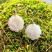 see more listings in the Earrings section