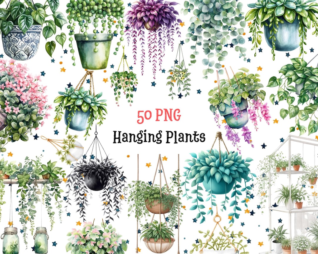 Watercolor Hanging Plants Clipart,50x High Quality Png,instant Download ...