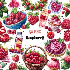 Puede incluir: Ilustración en acuarela con frambuesas. La imagen incluye frambuesas frescas, un cuenco azul lleno de bayas, una cesta y postres como una magdalena y helado. También es visible el texto "50 PNG Raspberry".