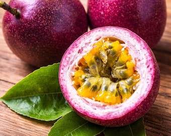 Semillas de maracuyá morada (30 unidades) Passiflora edulis, planta trepadora tropical de jardín.