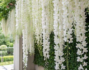 Más de 350 semillas de jazmín: planta trepadora para jardín y balcón