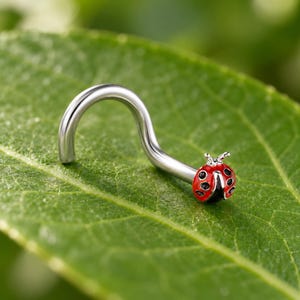 Puede incluir: Un piercing de nariz curvado de tono plateado con un pequeño dije de mariquita en el extremo. La mariquita está pintada con un cuerpo de esmalte rojo brillante, puntos negros y una cabeza negra, creando un diseño de insecto detallado.