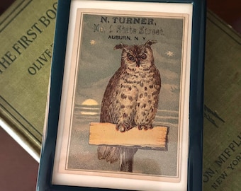 Framed Antique Owl Trade Card from Auburn New York in Vintage Green Frame