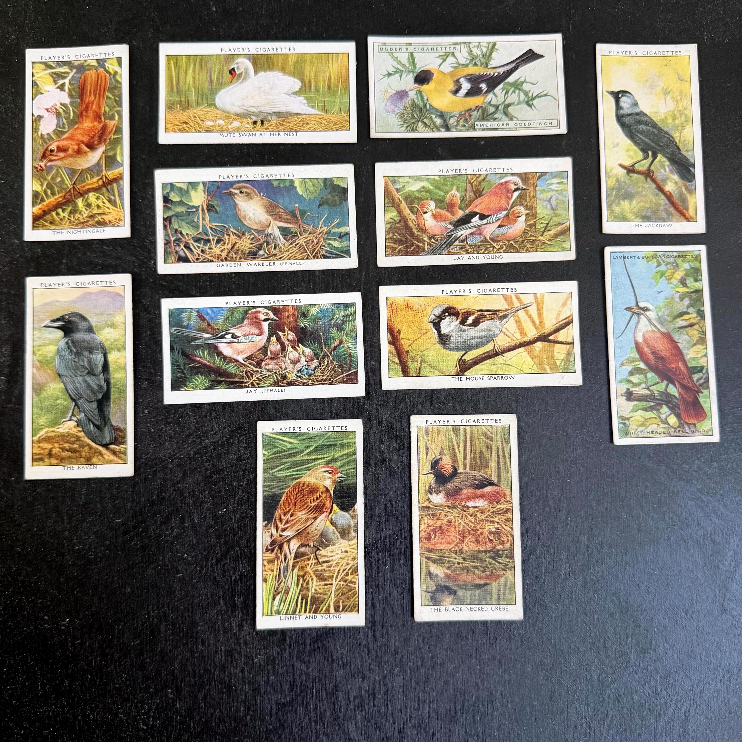 Players Cigarettes Bird Cards