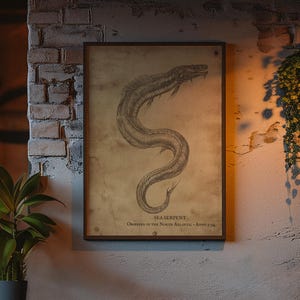 May include: A framed rectangular wall print featuring a detailed monochromatic illustration of a sea serpent on a weathered, parchment-style background with the text SEA SERPENT and additional small printed text at the bottom of the image.