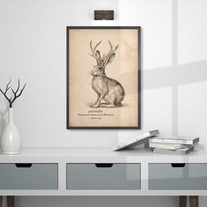 May include: A framed wall print featuring a detailed black and white ink illustration of a jackalope on a textured beige background. The text below the creature reads JACKALOPE, OBSERVED IN THE PLAINS OF WYOMING, c. JUNIUS 1902.