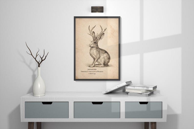 May include: A framed wall print featuring a detailed black and white ink illustration of a jackalope on a textured beige background. The text below the creature reads JACKALOPE, OBSERVED IN THE PLAINS OF WYOMING, c. JUNIUS 1902.