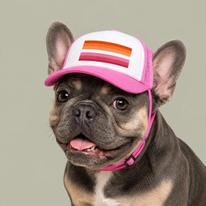 Op de afbeelding: Een Franse Bulldog met donkergrijze en tan vacht draagt een felroze en witte truckerpet. De pet heeft een rechthoekige afbeelding met horizontale strepen in oranje, wit en roze tinten. De pet is voorzien van een kinband met een zwarte gesp.