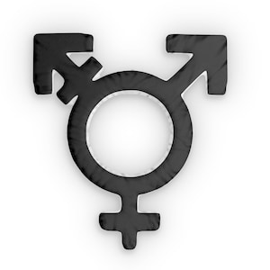 Transgender Pride Symbol Kissen Trans Identität Dekor Schwarz Weiß Akzent Kissen Trans Fem Trans Masc Raumästhetik LGBTQ Safe Space Geschenk