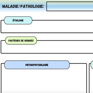 May include: A medical diagram with the title "MALADIE/PATHOLOGIE:" and sections for ÉTIOLOGIE, FACTEURS DE RISQUES, PATHOPHYSIOLOGIE, and SIGNES ET SYMPTÔMES. A cartoon nurse in a white uniform points to the diagram with a pen.