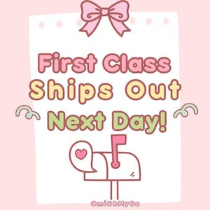 May include: A pink and white illustration with the text "First Class Ships Out Next Day!" A pink bow is at the top, and a mailbox with a heart is at the bottom. The background is light pink.