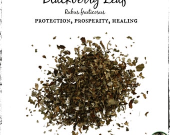 Blackberry Leaf, Organic | Protection, Prosperity, Healing