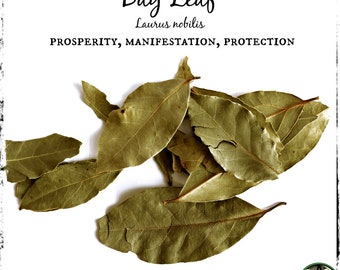 Bay Leaf, Organic | Prosperity, Manifestation, Protection