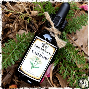 Yarrow Herbal Tincture, Organic | Achillea millefolium