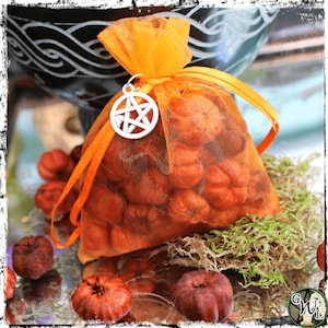 Putka Pods, Mini Pumpkins | Good Luck Charm, Prosperity