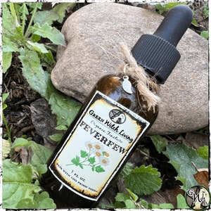 Feverfew Herbal Tincture, Organic Extract | Tanacetum parthenium