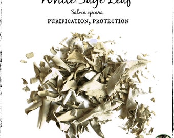 White Sage Leaf, Organic | Purification, Protection