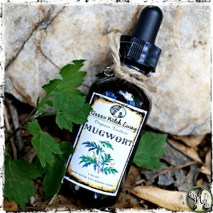 Mugwort Herbal Tincture, Organic Extract | Artemisia vulgaris