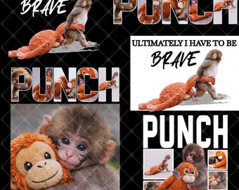 Punch Baby Monkey PNG: Emotional, Lonely Monkey Design (Digital Download)