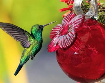 Hand Blown Glass Hummingbird Feeder – Mexican Art Glass – Outdoor Garden Decor-Wholesale too!!!