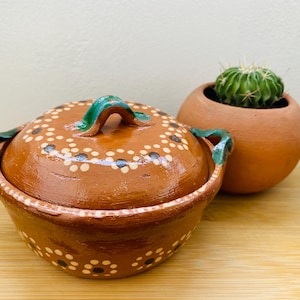 Puede incluir: Una cazuela de cerámica marrón hecha a mano con tapa, adornada con lunares blancos y marrón oscuro. Las asas y el asa de la tapa están pintadas de verde. Una pequeña maceta de terracota con un cactus está en el fondo.