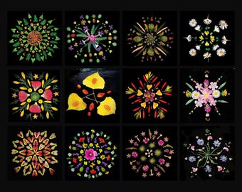 Op de afbeelding: Een verzameling van twaalf vierkante afbeeldingen, elk met een uniek bloemenmandala-ontwerp. De mandala's zijn samengesteld uit verschillende bloemen, bladeren en natuurlijke elementen, gerangschikt op een zwarte achtergrond. Kleuren zijn groen, geel, rood en roze.