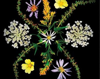 Op de afbeelding: Een symmetrische bloemenarrangement tegen een zwarte achtergrond. Het arrangement bevat witte, gele en paarse bloemen, met groene stelen en bladeren. De compositie is gecentreerd en visueel in evenwicht.