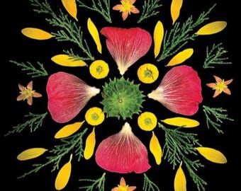 Op de afbeelding: Een symmetrische bloemenarrangement op een zwarte achtergrond. Het ontwerp bevat rode bloemblaadjes, gele bladeren, groene takjes en kleine gele en oranje bloemen. De opstelling is gecentreerd rond een groene, stekelige zaaddoos.