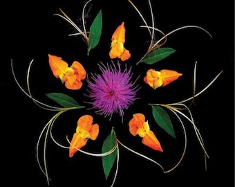 Op de afbeelding: Een symmetrische bloemarrangement tegen een zwarte achtergrond. Het heeft een centrale paarse distel, omringd door oranje en gele bloemen, groene bladeren en delicate, gebogen, lichtgekleurde stelen. Het ontwerp is visueel aantrekkelijk en evenwichtig.