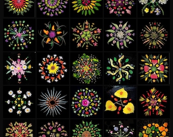 Op de afbeelding: Een verzameling van 25 vierkante afbeeldingen, elk met een uniek mandala-ontwerp gemaakt van natuurlijke elementen. De mandala's tonen een verscheidenheid aan kleuren en texturen, met bloemen, bladeren en andere organische materialen gerangschikt in symmetrische patronen tegen een zwarte achtergrond.