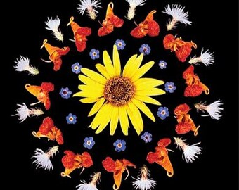 Op de afbeelding: Een cirkelvormige bloemstuk op een zwarte achtergrond. Een grote gele zonnebloem staat in het midden, omringd door oranje en rode bloemen, kleine blauwe bloemen en witte, veervormige bloemen. De compositie is symmetrisch en visueel aantrekkelijk.