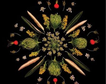 Op de afbeelding: Een symmetrische compositie van natuurlijke elementen op een zwarte achtergrond. De compositie bevat groene artisjokken, gele takjes, bruine zaaddozen, groene bladeren, kleine witte bloemen en rode bessen. De opstelling is cirkelvormig.