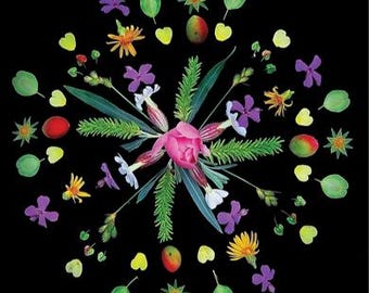 Op de afbeelding: Een bloemstuk op een zwarte achtergrond. Het arrangement toont een centrale roze bloem, omringd door diverse bloemen, bladeren en kleine vruchten in groen, geel, paars en rood. De compositie is symmetrisch en visueel aantrekkelijk.