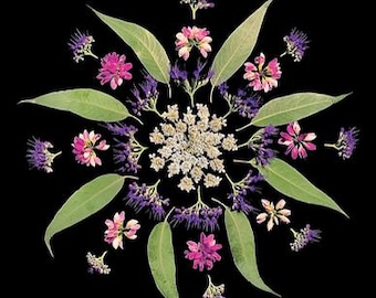 Op de afbeelding: Een bloemenmandala-ontwerp op een zwarte achtergrond. De opstelling bevat groene bladeren, roze en paarse bloemen en kleine witte bloesems. Het ontwerp is symmetrisch en cirkelvormig.