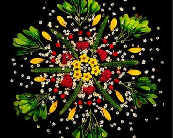 Op de afbeelding: Een symmetrisch bloemstuk tegen een zwarte achtergrond. Het ontwerp bevat gele bloemen, rode bessen, groene bladeren, gele bloemblaadjes en kleine witte bloemen. De opstelling is een cirkelvormige mandala.