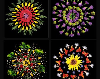 Set van 4 | Koop er 3, ontvang er 1 gratis | Wenskaarten | Originele Colorado natuur mandala kunstprint | 6 x 6 vierkant | Blanco binnenkant | Enveloppen