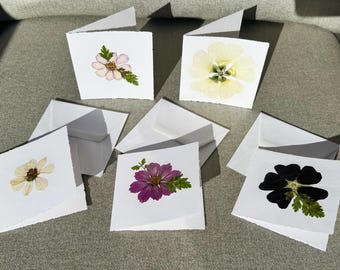 Op de afbeelding: Een verzameling handgemaakte wenskaarten met geperste bloemen. Elke kaart toont een andere bloem, waaronder witte, gele, roze en zwarte bloemen, met groen blad. De kaarten zijn vierkant en worden geleverd met witte enveloppen.