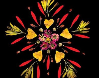 Op de afbeelding: Een bloemenmandala-ontwerp op een zwarte achtergrond. De compositie bestaat uit gele en rode bloemblaadjes, met een centrale cluster van roze bloemen. Het ontwerp is symmetrisch.