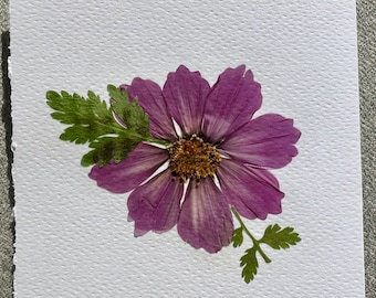 Op de afbeelding: Een geperste paarse bloem met een gele kern en groene bladeren is gecentreerd op een vierkant, getextureerd wit papier. Het papier heeft een gescheurde rand. De bloemblaadjes zijn diep paars met witte accenten.