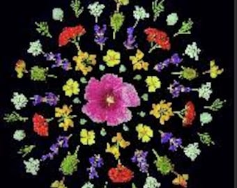 Op de afbeelding: Een cirkelvormige opstelling van kleurrijke bloemen en groen tegen een zwarte achtergrond. Het ontwerp toont een grote roze bloem in het midden, omringd door diverse kleinere bloemen in rood, geel, paars en wit, met groene takjes ertussen.