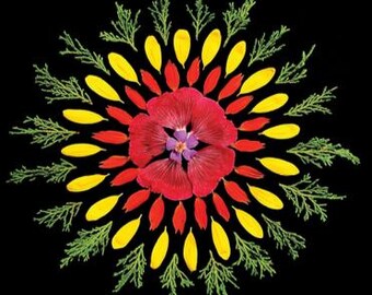 Op de afbeelding: Een bloemenmandala-ontwerp samengesteld uit natuurlijke elementen. Het midden toont een levendige rode bloem met een paars centrum, omringd door rode en gele bloemblaadjes. Groene takjes vormen de buitenste ring, alles tegen een zwarte achtergrond.
